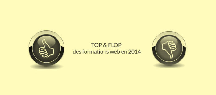 Top-et-flop-des-formations-web-2014